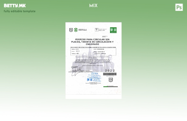 модерен стил Мексико Permiso Para Circular Sin Placas шаблон